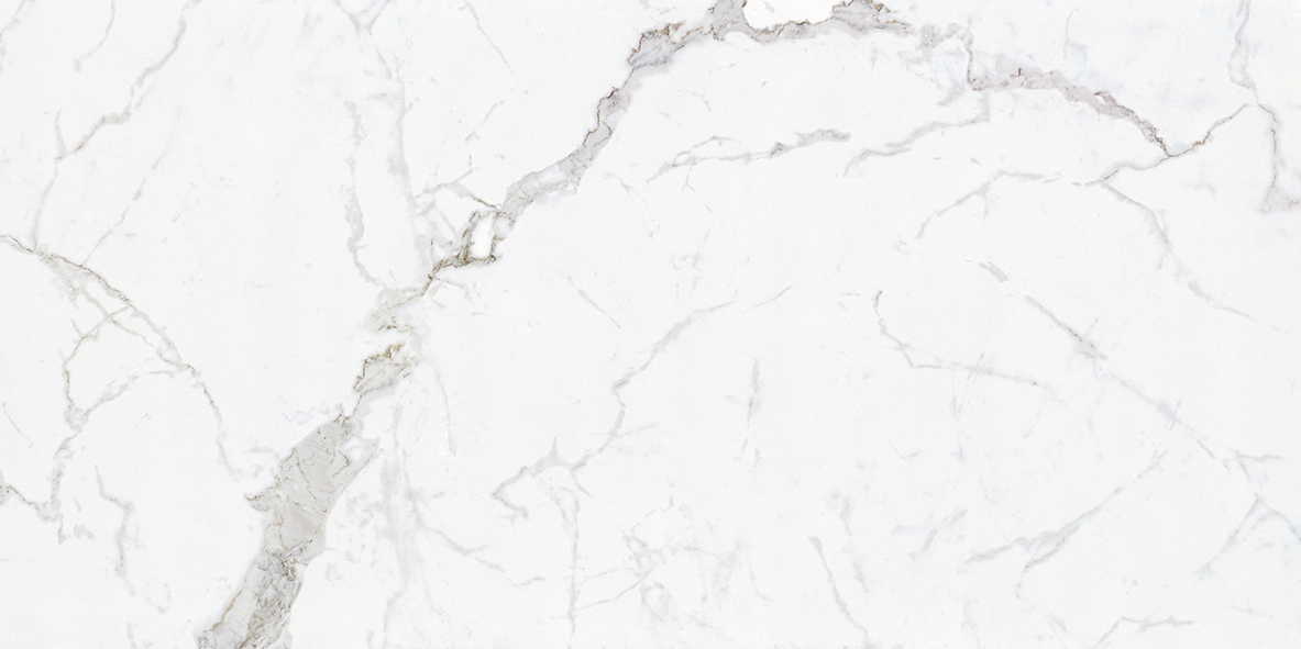 600x1200mm_FATONG__Carrara_Marble_Porcelain_Tiles.jpg
