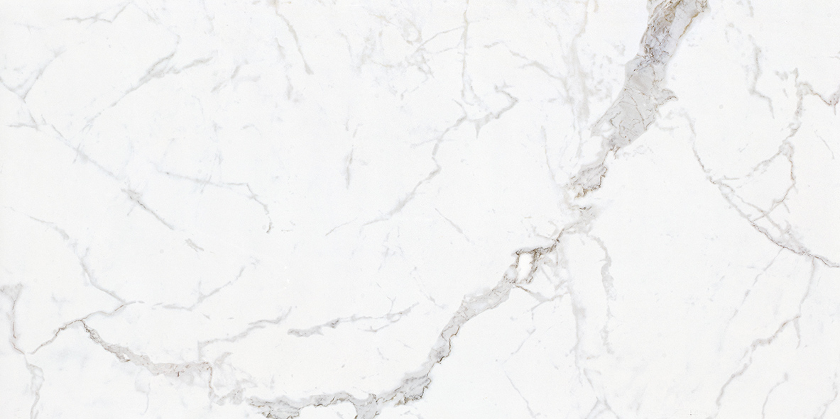 60x120cm_FATONG__Carrara_Marble_Porcelain_Tiles.jpg