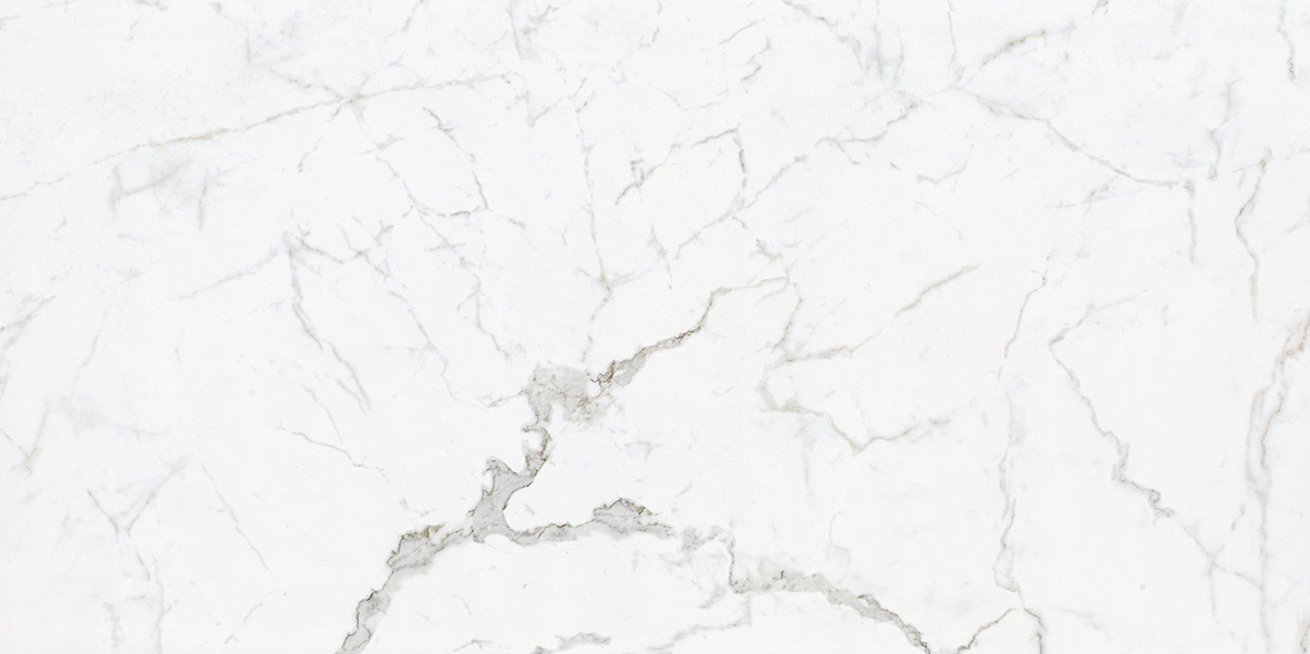 FATONG_Carrara_Marble_Porcelain_Tiles_60x120cm.jpg